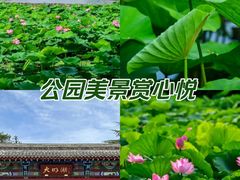 -济南大明湖景区