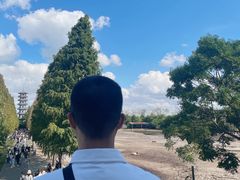 -黄海国家森林公园