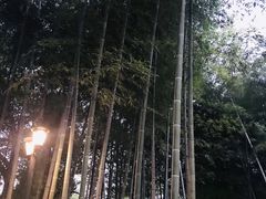 -木子山庄·安徽省老字号·中国炖锅宴