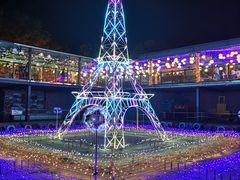 -北京鹿世界主题园