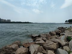 -丁香湖公园
