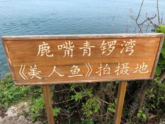 -杨梅坑
