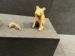 -徐州博物馆