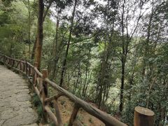 -仙岛湖旅游风景区