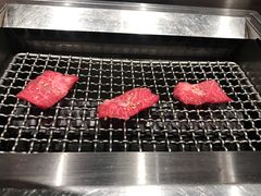 -俺的焼肉(銀座9丁目店)