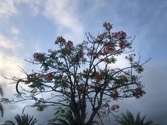 -亚龙湾中心广场