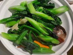 -金燕岛潮州酒楼