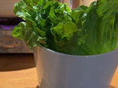 -巢爷老味(东方红店)