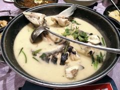 -饭怕鱼(阳光100店)