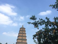 -陕西民俗大观园