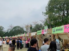 -凤岭儿童公园