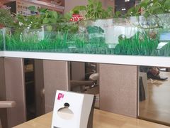 -嘉和一品粥(魏公村店)