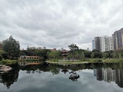 -四海公园(南山区)