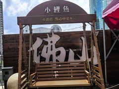 -岭南站NOVA
