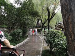 -莲湖公园