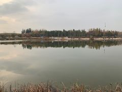 -东郊湿地公园