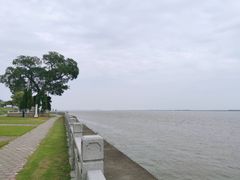 -观潮胜地公园