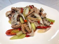 辣炒八爪鱼-东莱海上(长宁来福士店)