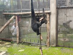 -昆明动物园