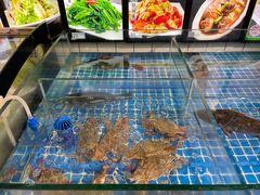 -阿杰臻选海鲜饭店(普陀山店)