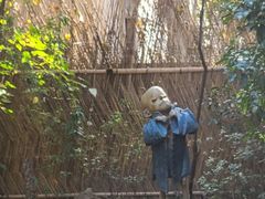 -张乐平故居