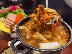 野山菌火锅-紫滇源云南生态菜(丹凤街店)
