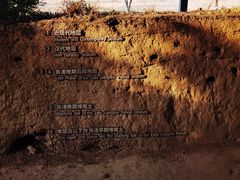 -良渚古城遗址公园