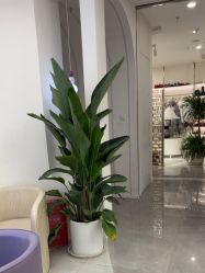 -小阿福儿童摄影(摩尔城店)