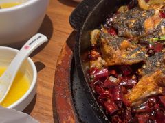 -老板恋上鱼(恒隆广场店)