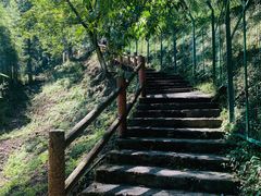 -藏龙百瀑风景区