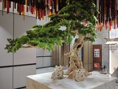 -青水瓦台汤泉(未央店)