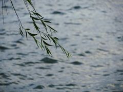 -东钱湖小普陀景区