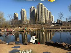-前关湿地公园
