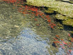 -水磨沟公园