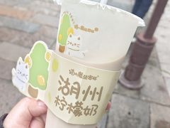 -猫的魔法密林(衣裳街店)