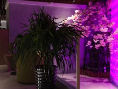 -东吴水韵(吴中店)