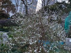-静安公园(静安寺街道)