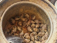 胡椒凤螺-百家班(市府店)