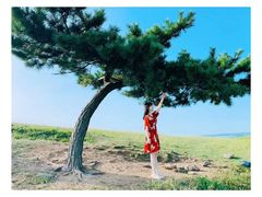 -恋山坝上草原