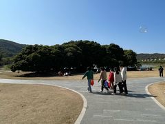-风云岭森林公园