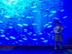 -沈阳海洋探索中心