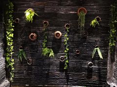 -一只烧鸡公(解放碑店)