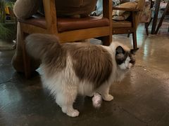 -咖法森林·咖啡  酒吧(天河店)