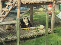 -大连森林动物园