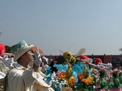 -荷兰花海