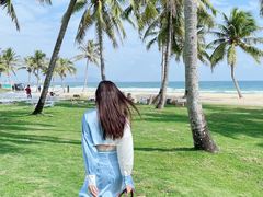 -海南清水湾莱佛士酒店