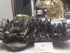 -湖南省地质博物馆