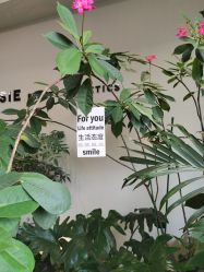 -Lumi露米·美甲美睫品质店