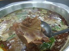 -新乡杨记红焖羊肉火锅(天坛南门店)