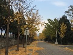 -北京大学(昌平校区)